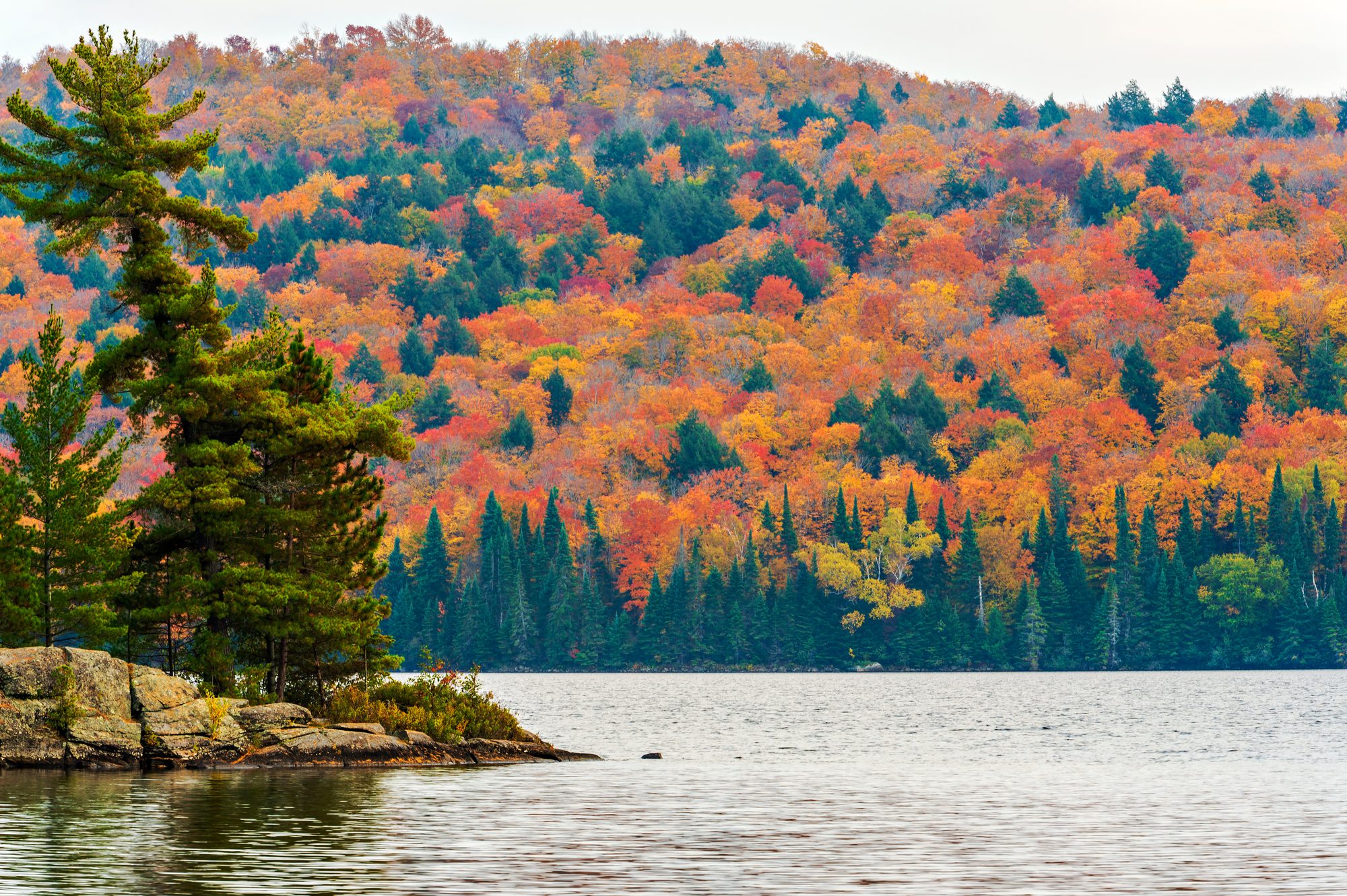 Autumn forest landscape, Algonquin Park, Ontario, Canada.